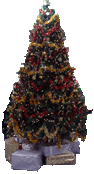 Happy Christmas from Gate Expectations